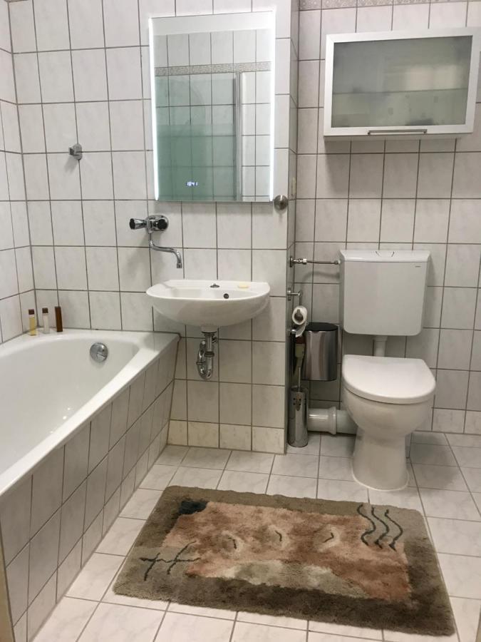 Zentrumsnahe Leipzig-Apartments, Nahe Ufz Und Bmw Inkl Parkplatz Und Fahrraeder Esterno foto