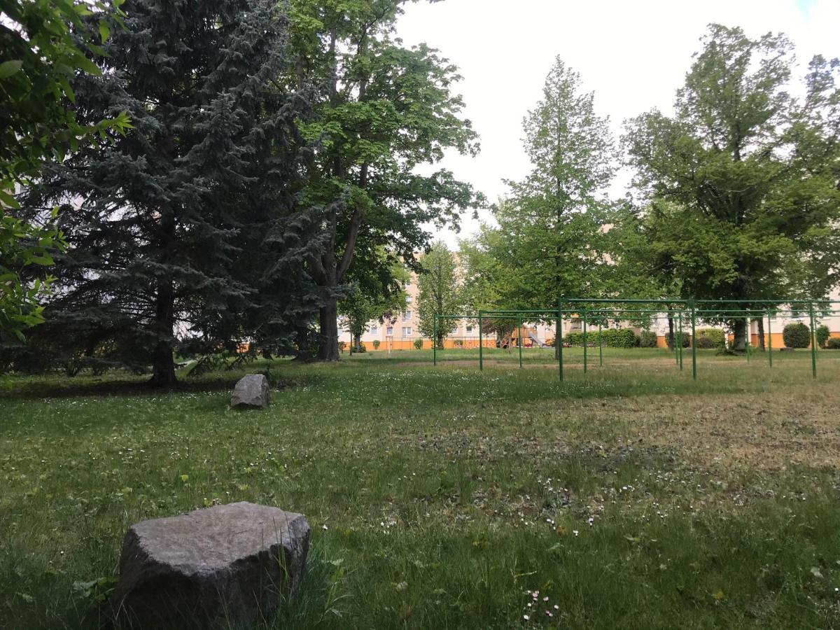 Zentrumsnahe Leipzig-Apartments, Nahe Ufz Und Bmw Inkl Parkplatz Und Fahrraeder Esterno foto