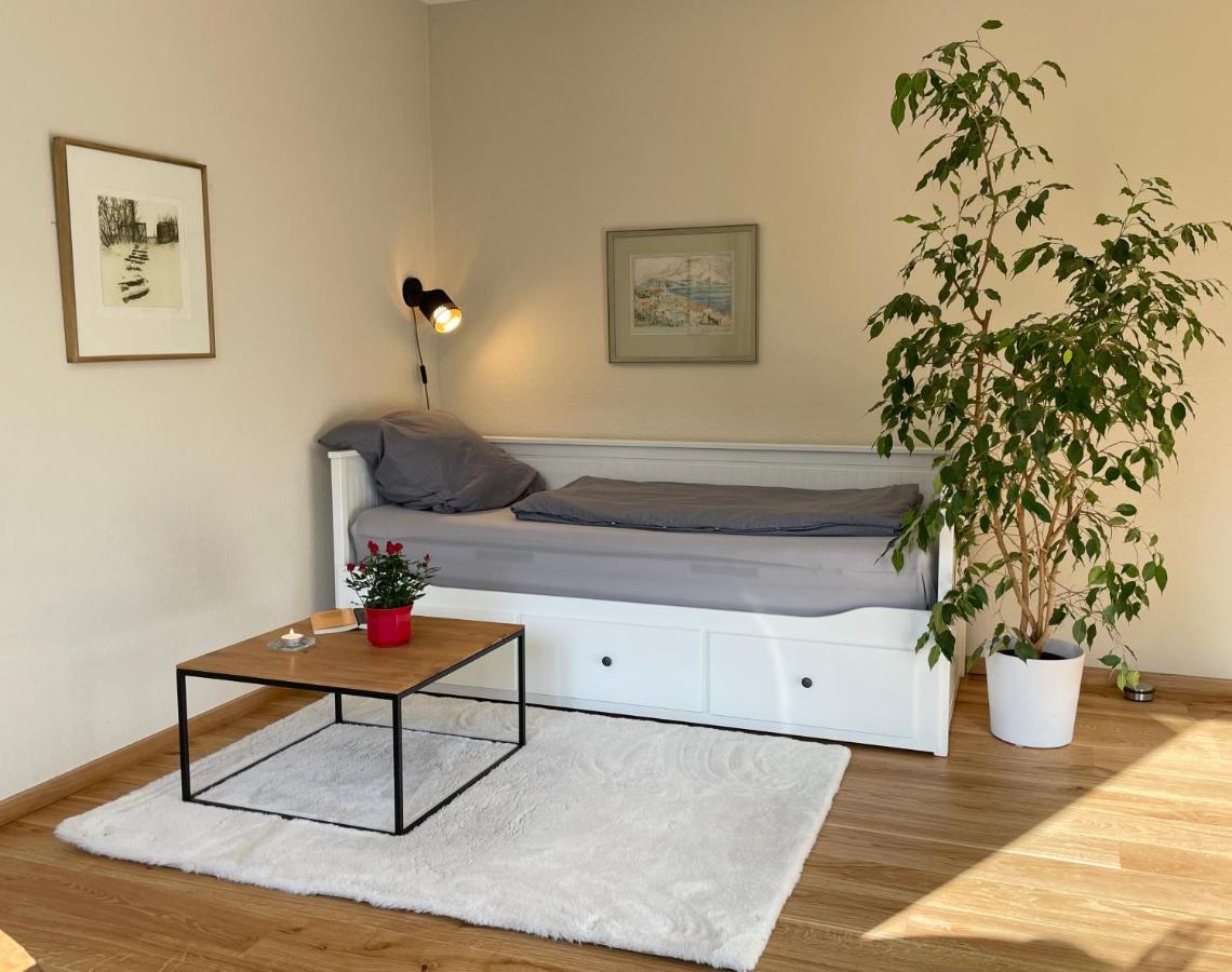 Zentrumsnahe Leipzig-Apartments, Nahe Ufz Und Bmw Inkl Parkplatz Und Fahrraeder Esterno foto